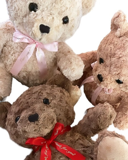 Beary Cute Gift