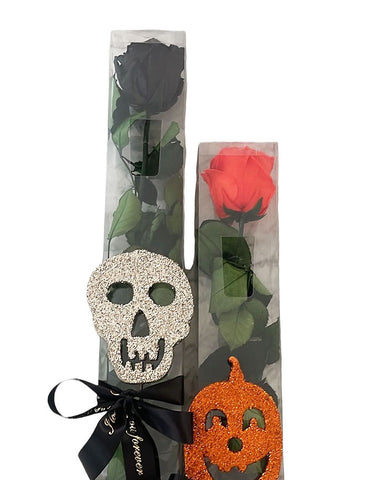 Halloween Forever Rose