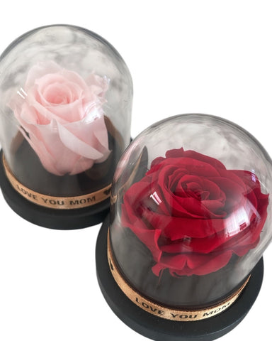 Petite "I Love You Mom" Forever Rose Glass Dome