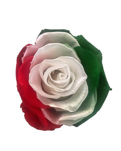 Luxury Italian Forever Rose