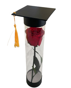 Graduation Rose