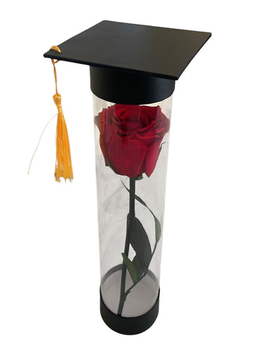 Graduation Rose
