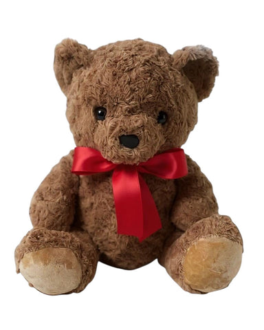 Adorable Bear Comes With a Clear Bear Box Wrapped In Ribbon