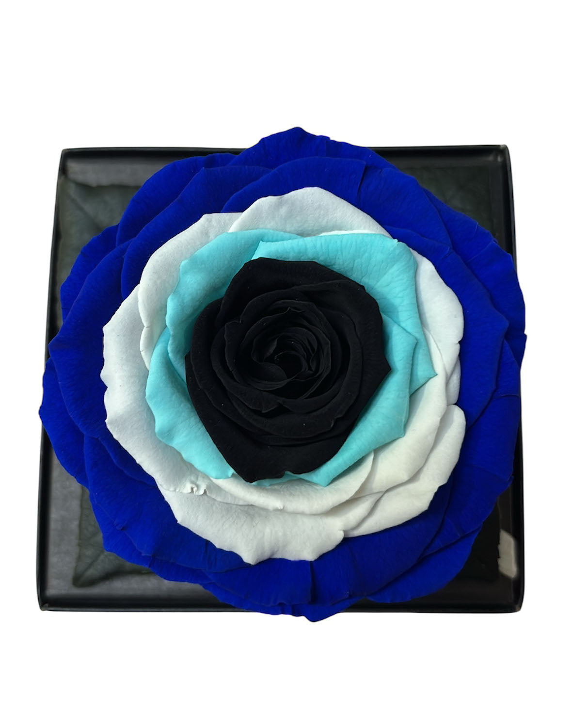 Evil Eye Forever Rose  (2+ Years)