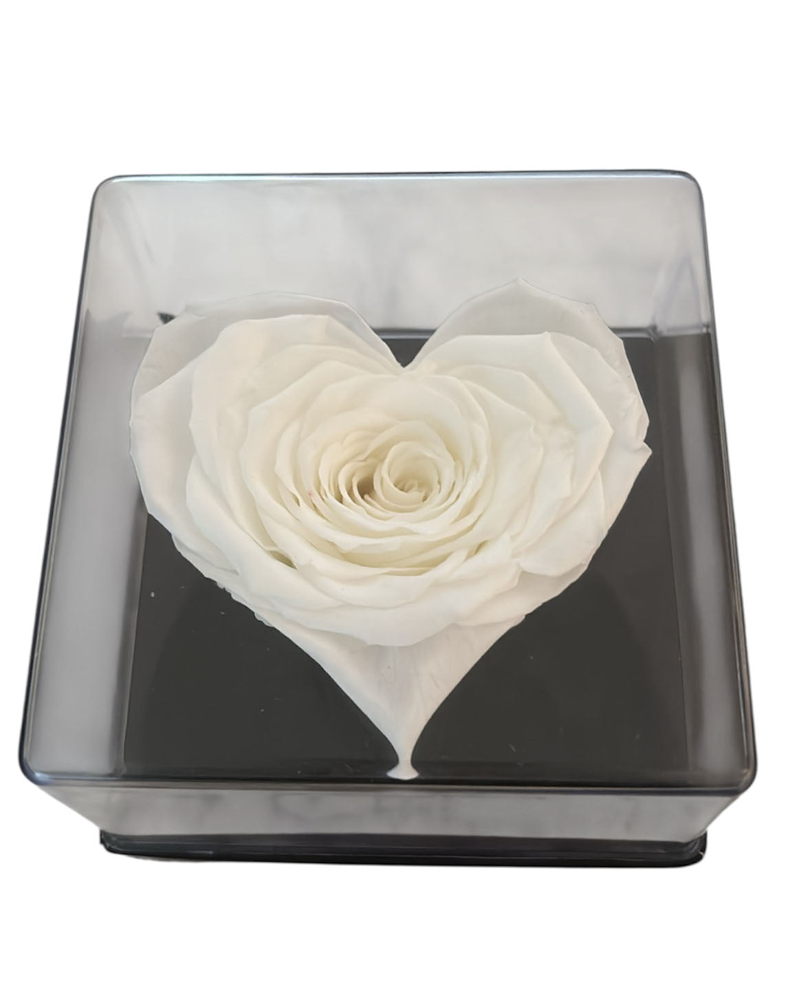 Elegant Heart Shaped Forever Rose 2+ Years