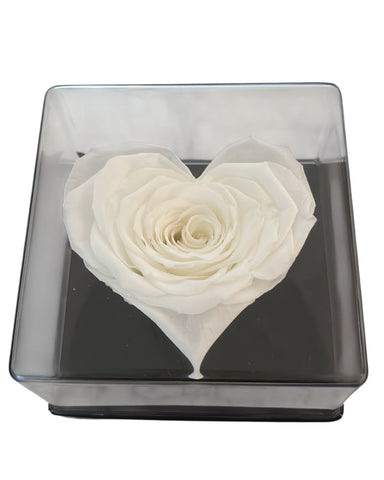 Elegant Heart Shaped Forever Rose 2+ Years