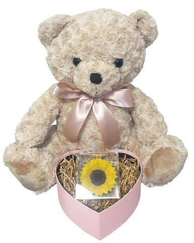 Honey Bloom (Blush)