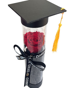 Graduation Ceremony Forever Rose (Long Lasting) – LA Flower Girl