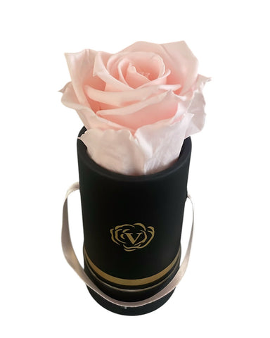 Light Pink Forever Rose (Lasts 2 Years)