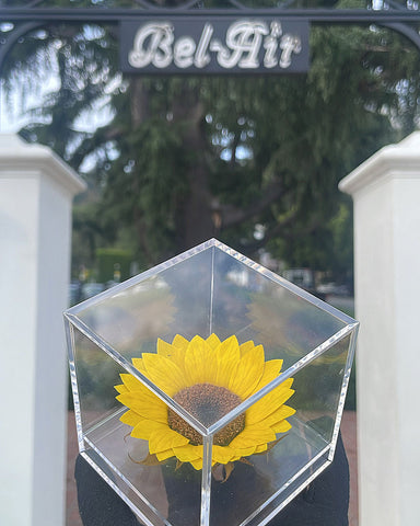 Forever Sunflower (Lasts 2 Years)